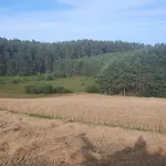 Lesniczowka Fingrowa Huta