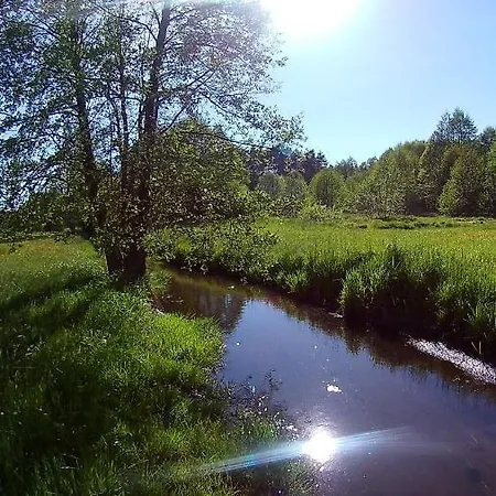 Lesniczowka 度假居 Fingrowa Huta