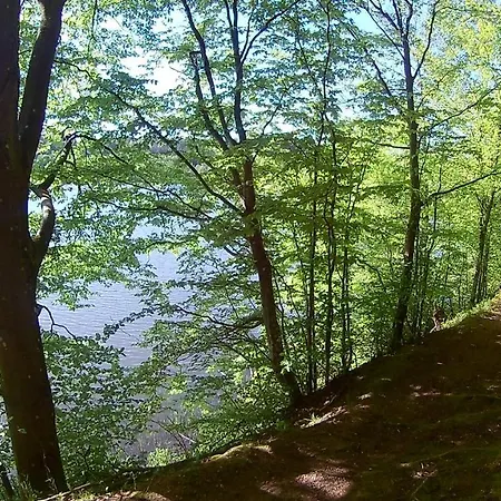 Tatil Evi Lesniczowka