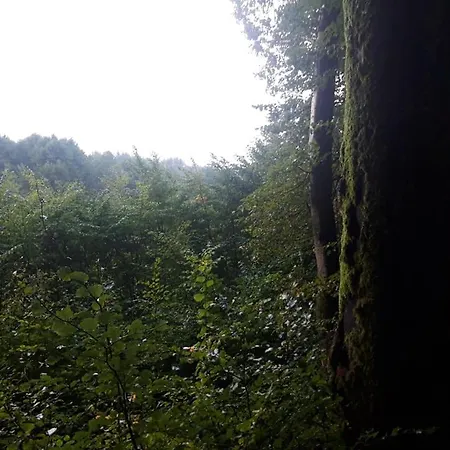 Lesniczowka Tatil Evi *