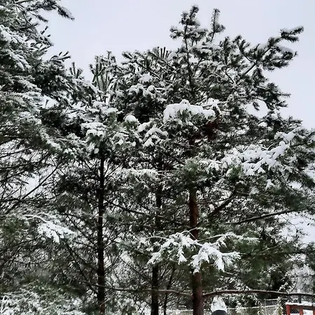 Lesniczowka Fingrowa Huta