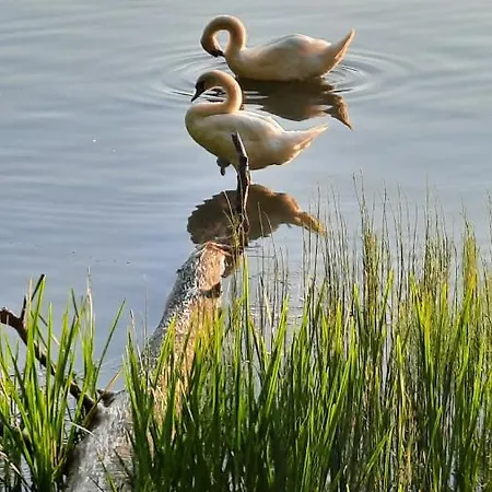 Lesniczowka Fingrowa Huta