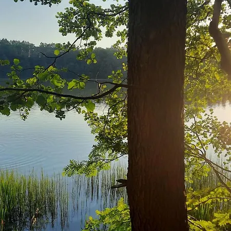 Lesniczowka Fingrowa Huta