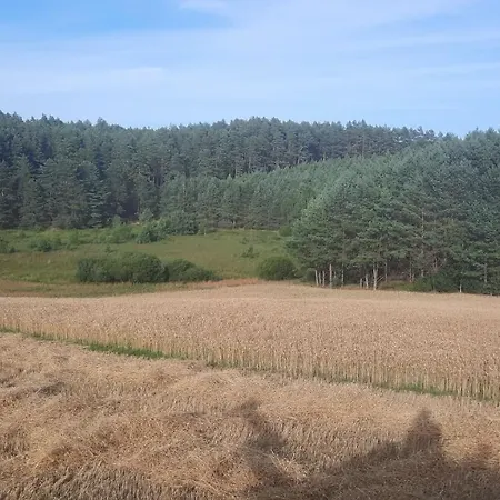 Lesniczowka Fingrowa Huta