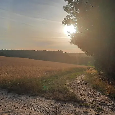 Tatil Evi Lesniczowka *