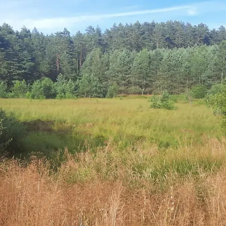 Lesniczowka Holiday home Fingrowa Huta
