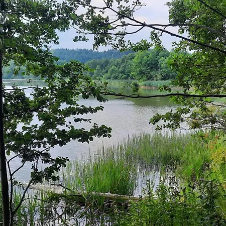 Lesniczowka * Fingrowa Huta