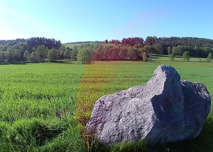 Lesniczowka * Fingrowa Huta