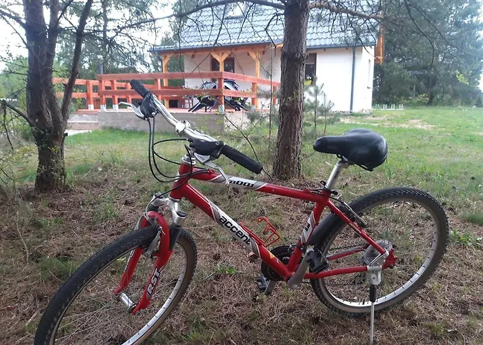 Lesniczowka * Fingrowa Huta