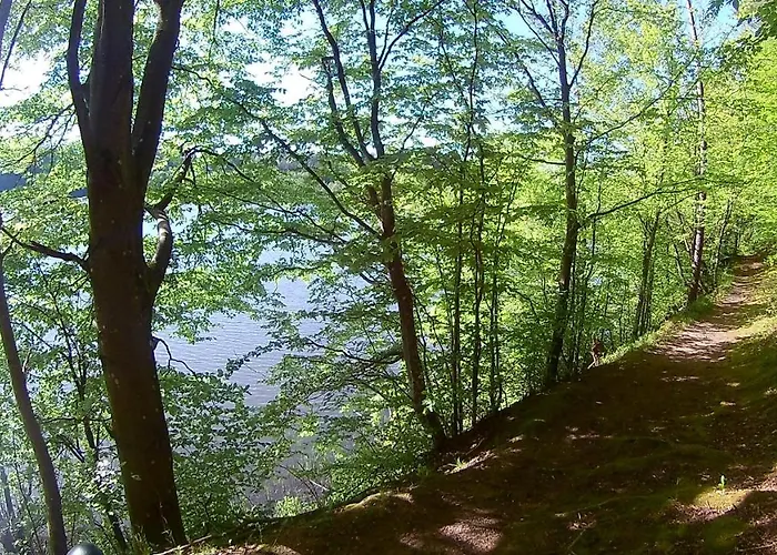 Prázdninový dům Lesniczowka