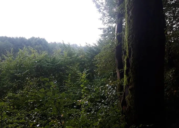 Lesniczowka Prázdninový dům *