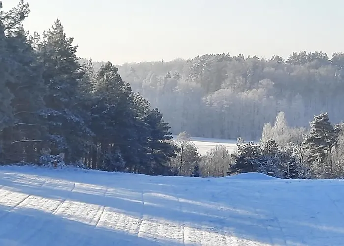 Prázdninový dům Lesniczowka *