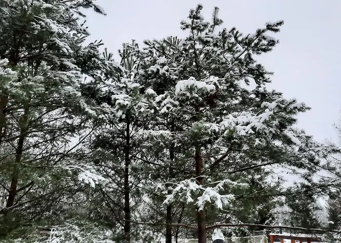 Lesniczowka Fingrowa Huta