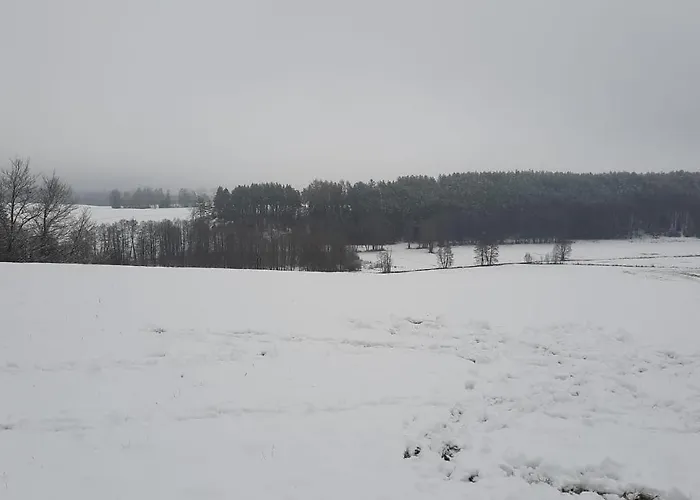 Lesniczowka Prázdninový dům Fingrowa Huta