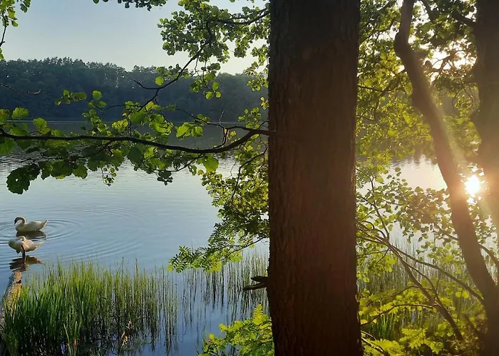 Lesniczowka Fingrowa Huta