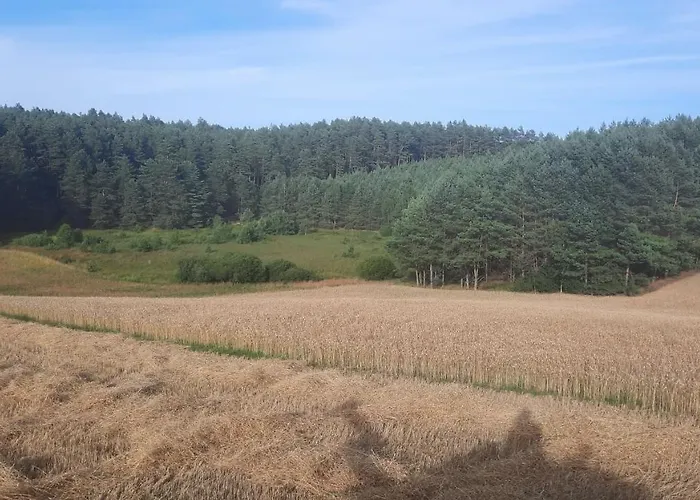 Lesniczowka Fingrowa Huta