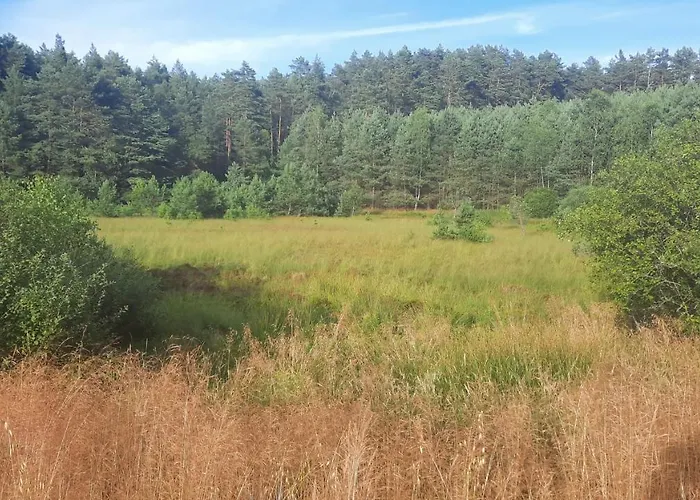 Lesniczowka Prázdninový dům Fingrowa Huta