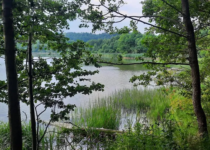 Lesniczowka * Fingrowa Huta